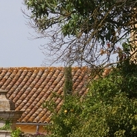 Photo de France - Le Canal du Midi et le tunnel du Malpas